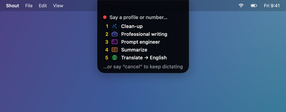 Shout showing a spoken profile list: Clean-up, Professional writing, Prompt engineer, Summarize, Translate to English